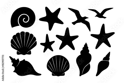 Silhouette collection of seashells and seabirds: starfish, shells, seagulls.
