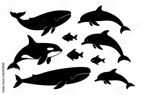 Silhouette collection of various marine mammals including whales and dolphins.