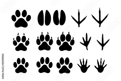 Animal tracks silhouette set featuring paw and hoof prints on white background.