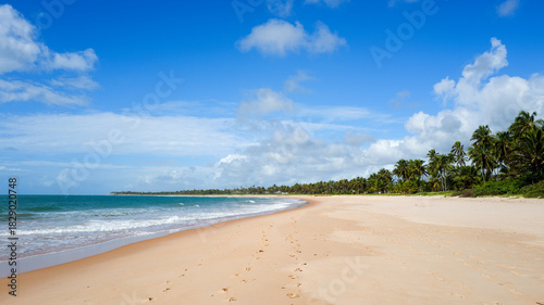 Fototapeta Naklejka Na Ścianę i Meble -  Guarajuba beach at coconut trees coast, Bahia, Brazil, 