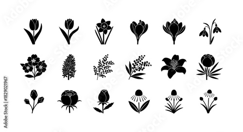 Minimalist silhouette flowers collection featuring various spring and summer blooms