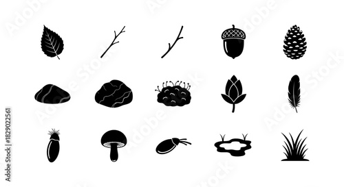 Nature silhouettes: leaves, branches, and woodland elements collection