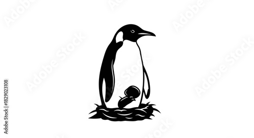 Protective Silhouette of a Penguin Standing Guard on a Nest with a Pebble Wildlife