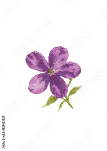 watercolor lilac flowers isolated on white background
