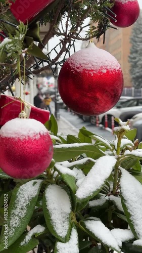 Snow Covered Red Christmas Bauble On Winter Branch Video