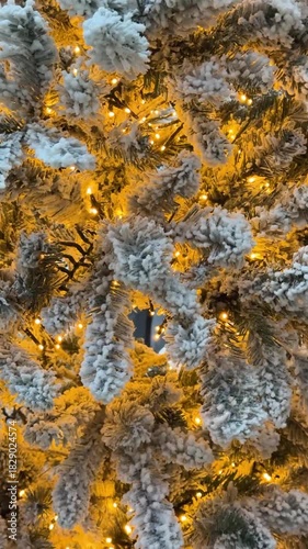 Snowy Flocked Christmas Tree With Warm Golden Lights Video