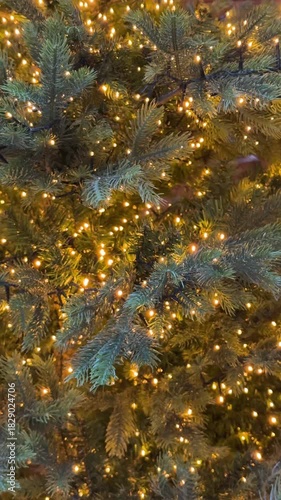 Christmas Tree Branches Illuminated With Warm Golden Holiday Lights Video