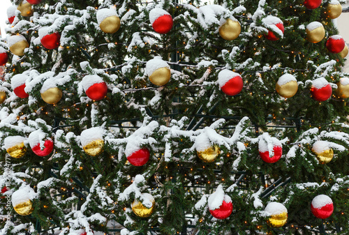 Christmas tree in the snow, decorated with red and gold Christmas balls. New Year's Eve, festive background
