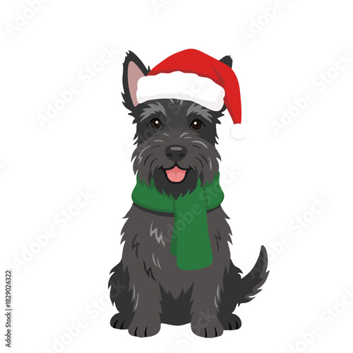 Cute Scottish Terrier Dog in Santa Hat and Scarf