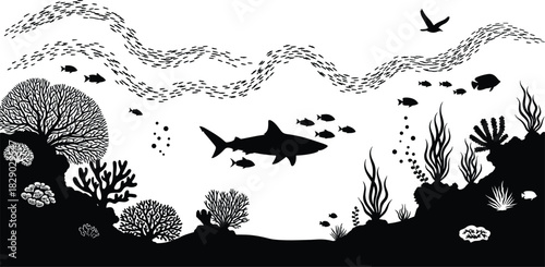 Shark, Fish School, Seaweed, and Marine Life for Ocean Ecology and Aquarium Design.