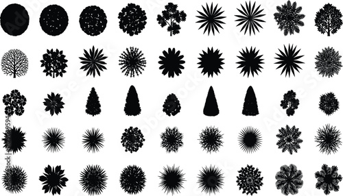 Vector Set of Plan Trees and Shrubs for Architectural Landscaping, Map Design, and Garden Layout.
