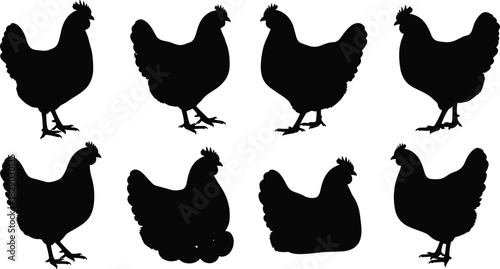 Farm Poultry, Domestic Fowl, and Agriculture Black and White Vector Graphic Icons.
