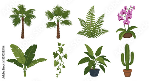 Collection of various tropical and house plants including palm, fern, orchid, and cactus
