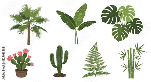 Collection of various tropical and desert plants and foliage