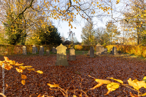 Autumn cemetery scene with rows of gravestones on leaf covered ground, golden trees and warm sunlight create a peaceful, reflective atmosphere. Jewish cemetery in autumn.