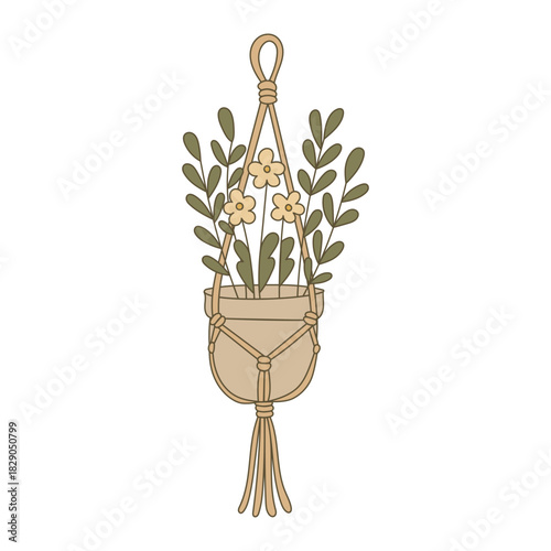 Macrame Plant Hangers with Green Plants in Pots for Home Decor, Interior Design, and Boho Style Modern Indoor Gardening Ideas for Apartments and Living Rooms.