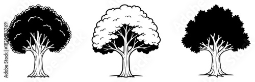 Deciduous Tree Icons Set Solid And Outline Monochrome Vector