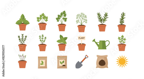 Garden herbs and tools set in flat style with potted plants and gardening elements