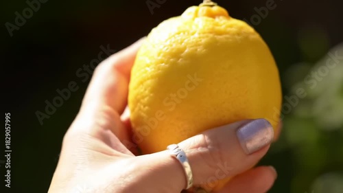 A hand, adorned with a ring, holds a bright yellow lemon against a blurred green backdrop on a sunny day