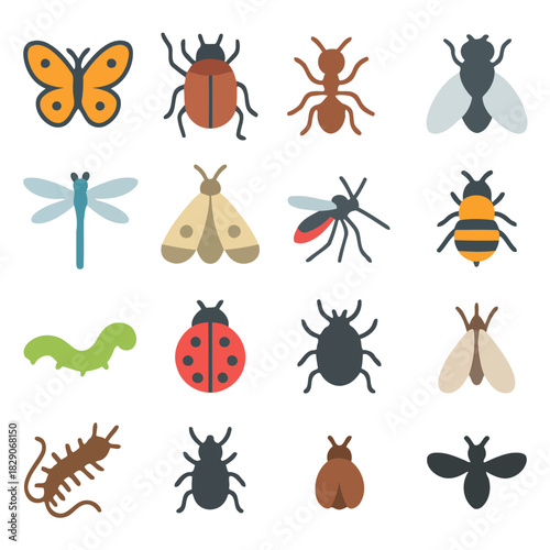 Variety of Insect: A colorful illustration showcasing diverse insect species, perfect for educational and illustrative purposes. A visual guide for entomology and nature enthusiasts.