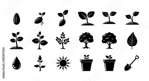 Silhouette icons of plant growth stages in minimalist style