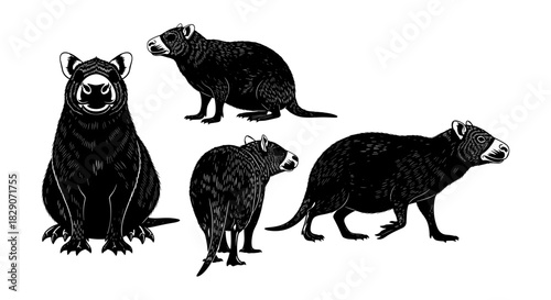 Black and white tasmanian devil silhouette illustrations with various poses and detail