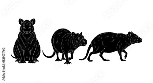 Detailed black and white rat silhouettes in different poses