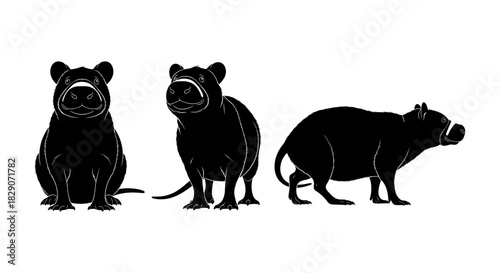 Silhouette front, side, and profile views of a capybara