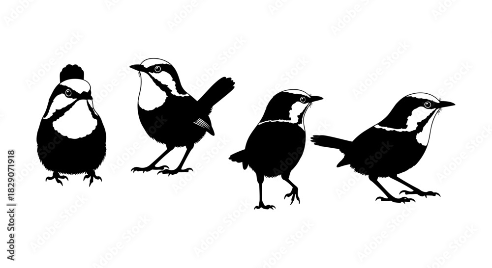 Obraz premium Silhouette art of four birds in various poses on a white background