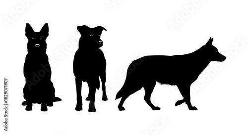 Silhouette of three dogs with distinct poses on white background
