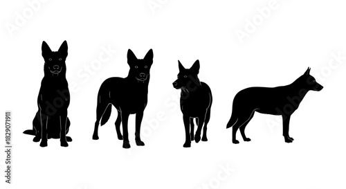 Silhouette of german shepherds in various poses on transparent background