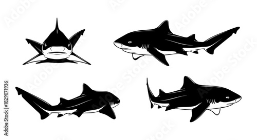 Dynamic shark silhouettes collection featuring iconic poses and angles on white background