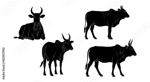 Silhouette cows in various poses on a white background