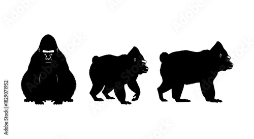 Gorilla silhouette sequence on white background in profile view