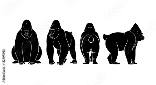 Gorilla silhouette in four poses on white background