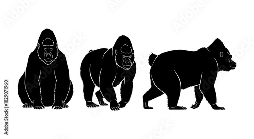 Gorilla silhouettes: trio of majestic apes in different poses