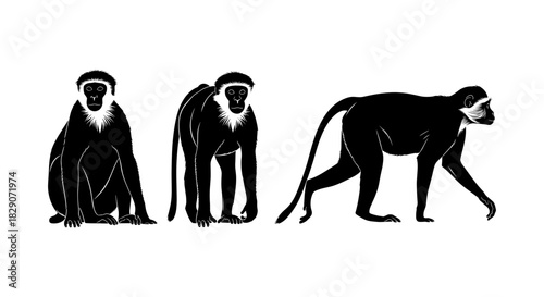 Silhouette trio of monkeys: diverse poses and movements in black and white