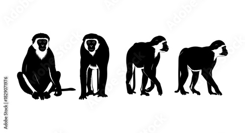 Silhouette monkeys in various poses on white background