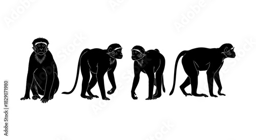 Monkey silhouettes set: diverse poses of monkeys in black silhouette style