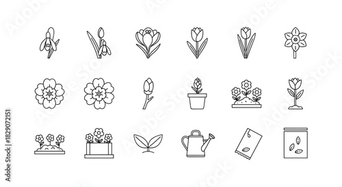 Minimalist spring garden icons: flowers, pots, and gardening tools
