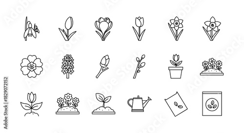 Minimalist garden icons: flowers, plants, tools, and seeds in linear style