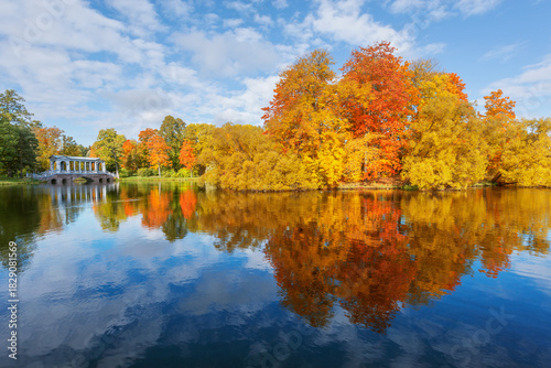 Trees by the lake in the park.