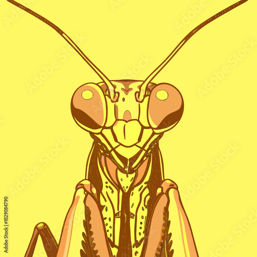 A stylized praying mantis with bold outlines staring forward
