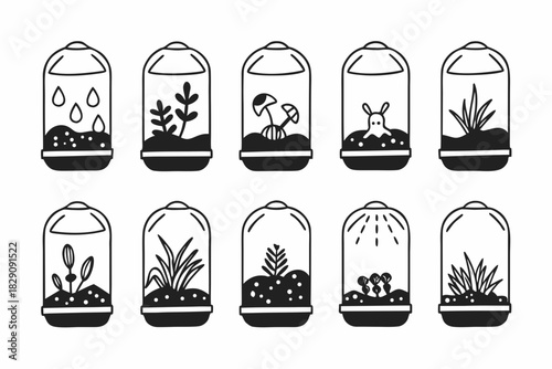 A collection of simple line art icons for DIY terrarium building