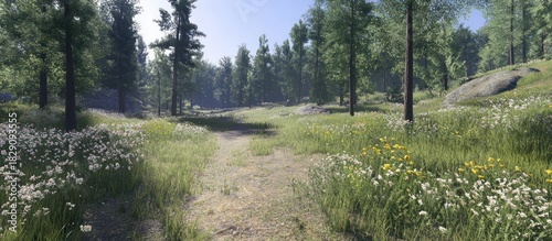 Serene Forest Path with Wildflowers and Tall Trees