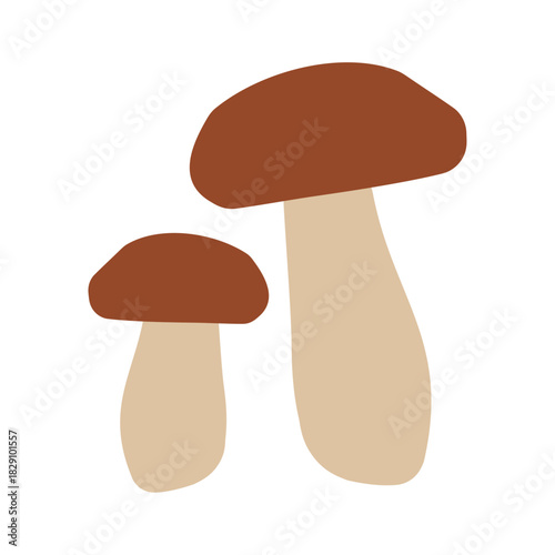 Pair of porcini mushrooms (Boletus edulis) icon isolated on a white background for culinary design, labels, and product marketing. Colorful fungi vector illustration in a hand-drawn style. Autumn mood