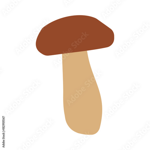 Porcini mushroom (Boletus edulis) icon isolated on a white background for culinary design, labels, and product marketing. Colorful fungi vector illustration in a hand-drawn style. EPS 10.	