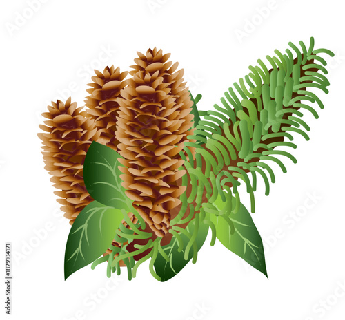 The artichoke plant is brown in color, combined with green ribbons [Converted].ai