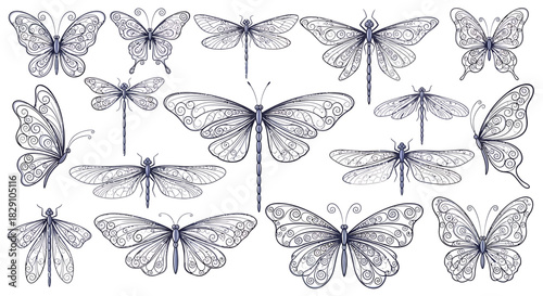 Elegant collection of hand-drawn butterflies and dragonflies with intricate ornamental wing patterns, isolated vector set for design