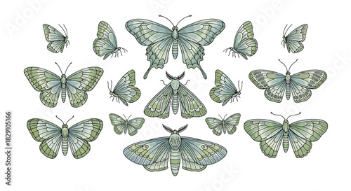 Collection of hand-drawn butterflies and moths in green and blue. Features intricate wing patterns, diverse insect forms, perfect for nature-themed designs